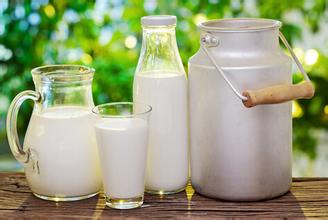 國(guó)產(chǎn)奶制品